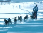 fotogramma del video Scuola internazionale Mushing di Fusine