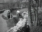 fotogramma del video Il Carso