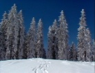 fotogramma del video Nevica, è tempo di sciare