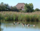 Le Riserve Naturali di Valle Canal-Novo e delle Foci dello Stella