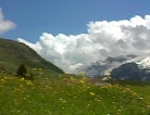 Sulle nostre montagne d'estate