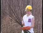 fotogramma del video Alvei puliti 2012