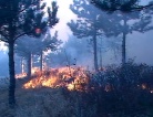 fotogramma del video Panontin - Accordo Protezione civile e Vigili del Fuoco per ...