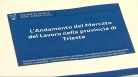 fotogramma del video Presentati dati provincia di Trieste
